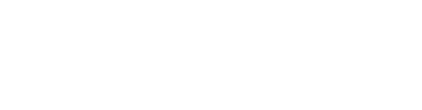 Vedix Web Coder